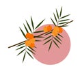 Sea buckthorn Branch. Vector illustration of yellow berries with green sharp leaves. Autumn berries collection